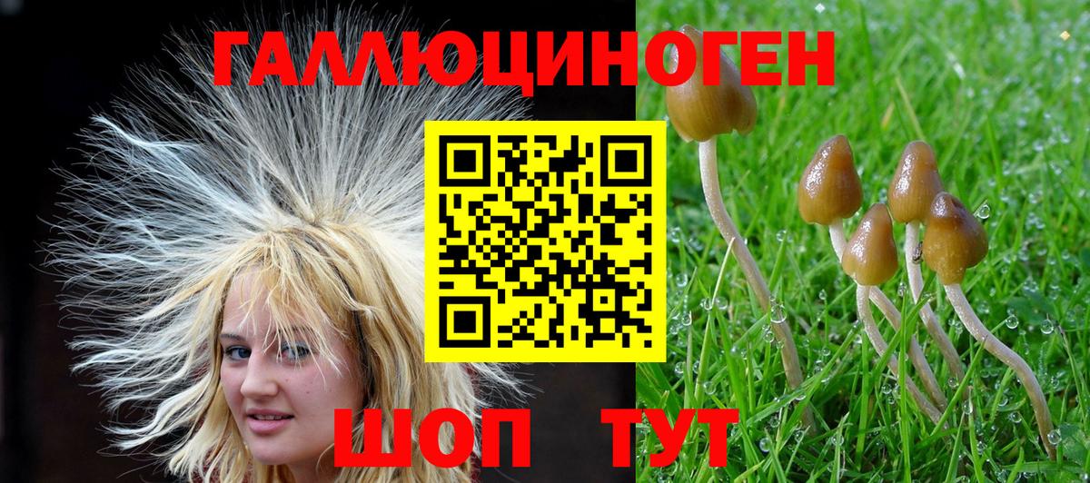 Губкин  Галлюциногенные грибы GOLDEN TEACHER  Вход с VPN 